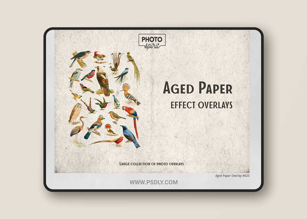 CreativeMarket - Aged Paper Effect Overlays 6916248
