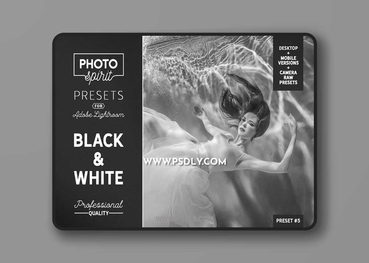 CreativeMarket - B&W LR Presets Mobile + Desktop 3698427