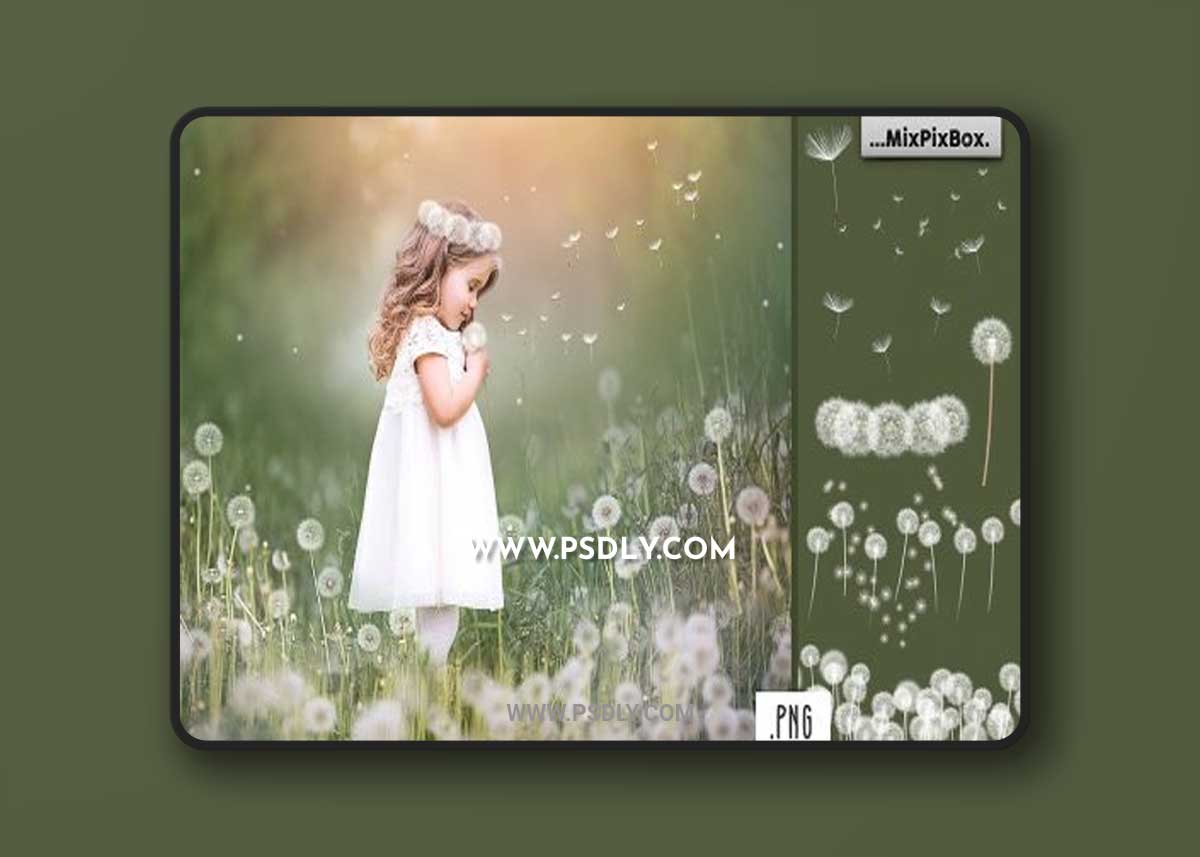 CreativeMarket - Dandelion Overlays 5219806