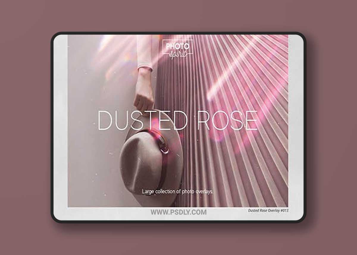 CreativeMarket - Dusted Rose Overlays 7055409