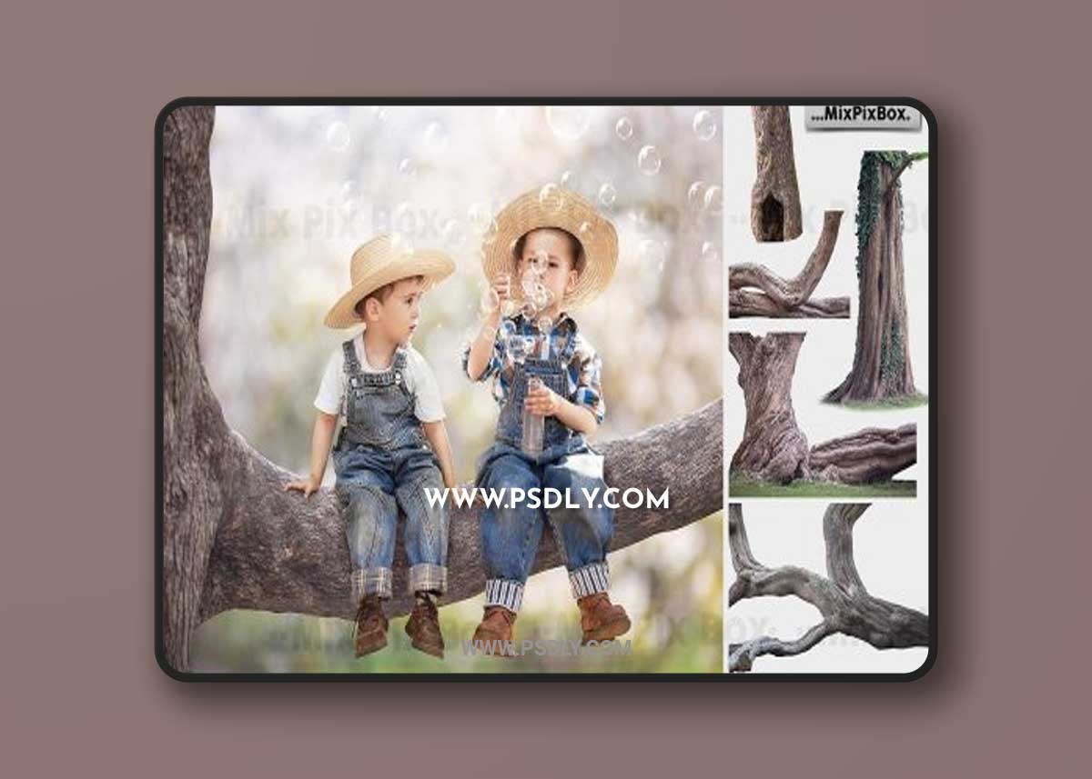 CreativeMarket - Old Tree Trunk Photo Overlays 6116946