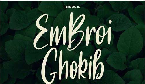 Embroi Ghokib Handwritten Script Font ents