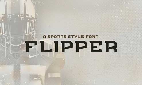 FLIPPER - NFC Font Family