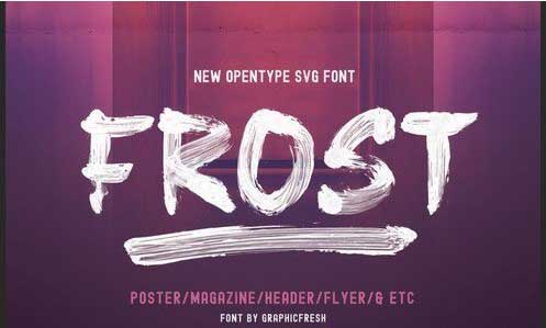Frost SVG Font + Brushes