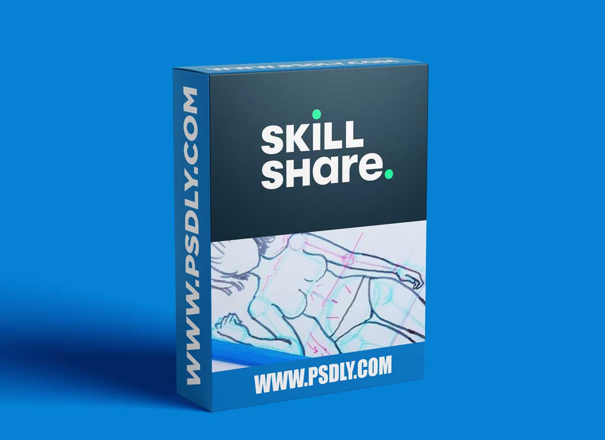 How To Draw Anime Anatomy For Beginners - Female Edition