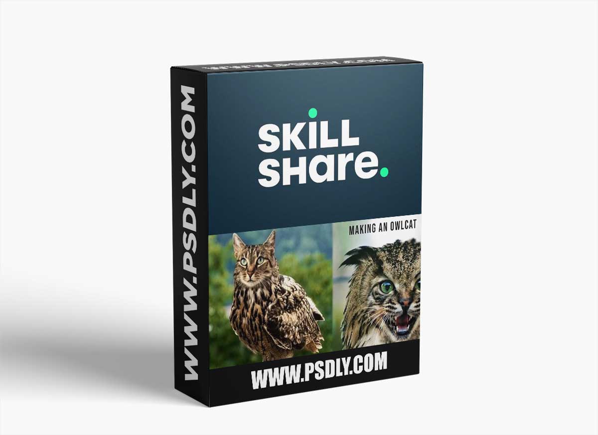 How to make an Owlcat in Adobe Photoshop