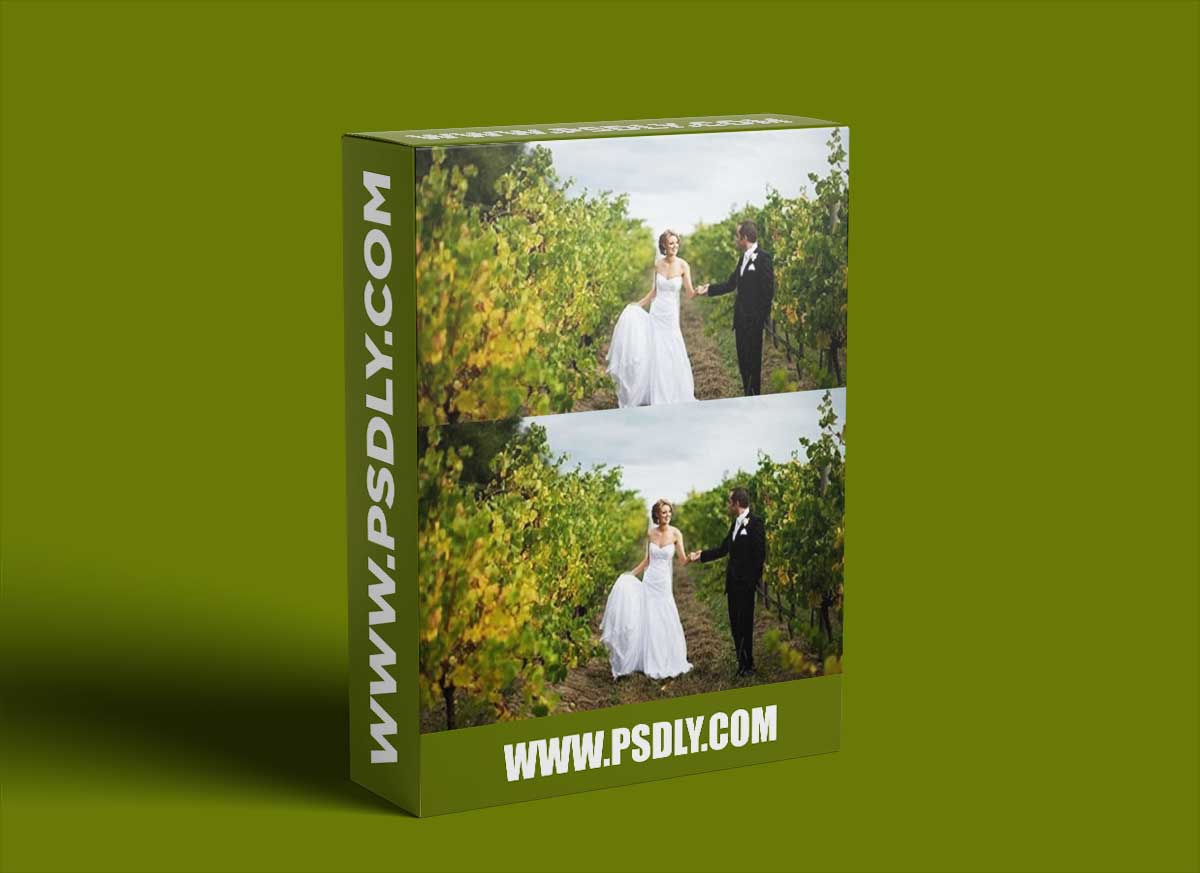 Jerry Ghionis - Wedding Photography - Chapter 103