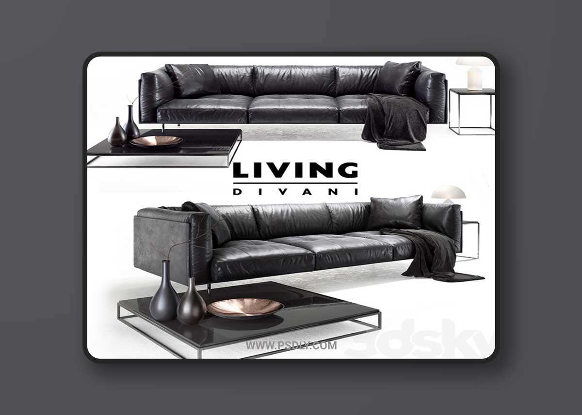 Living divani leather rod sofa 3D Model