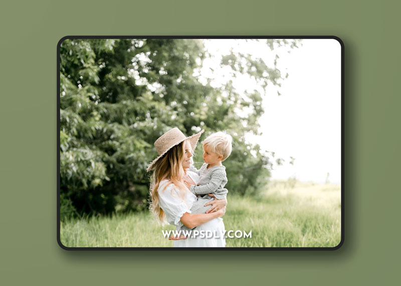 Modern Market The Fujivibe Collection XVIII