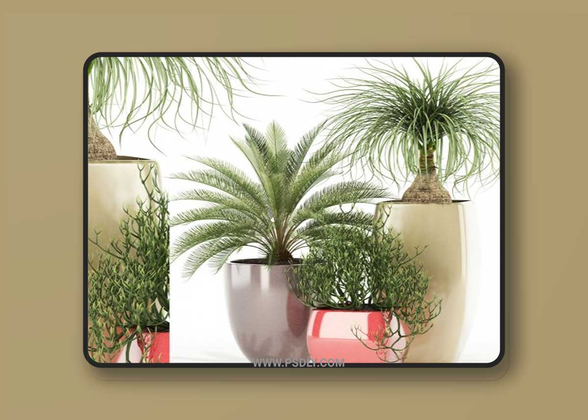 Plants collection 101 Awesome planters