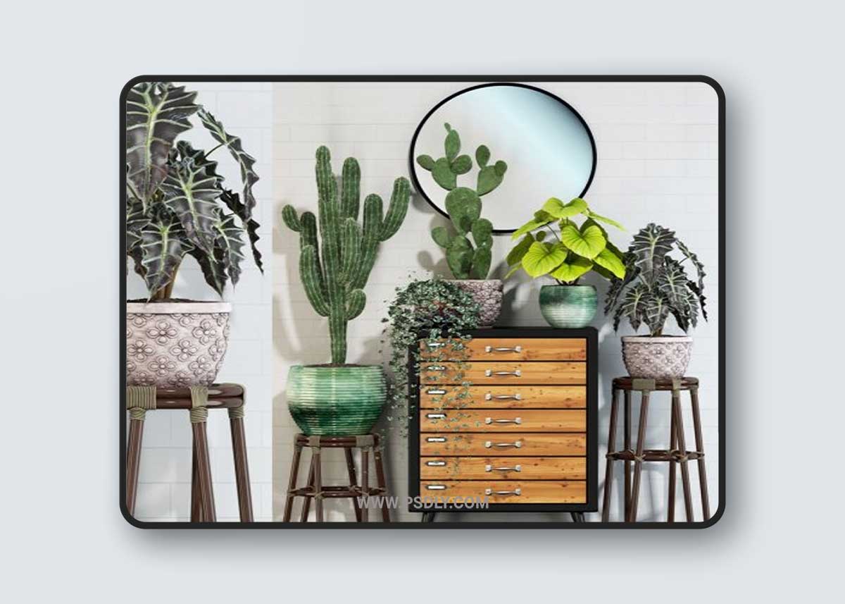 Plants collection 123 3D Model