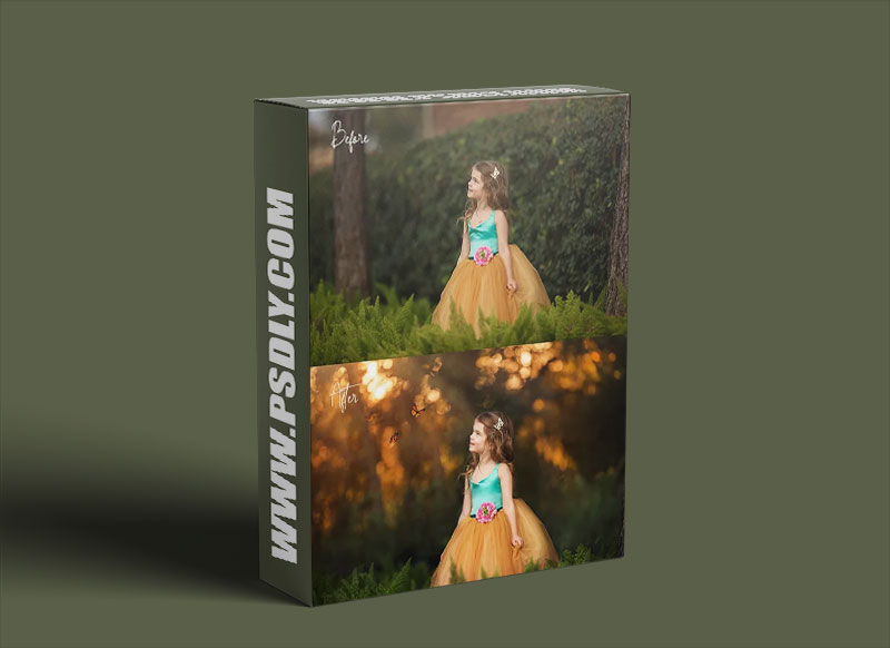 Sara Hunt Photography Converted Butterfly