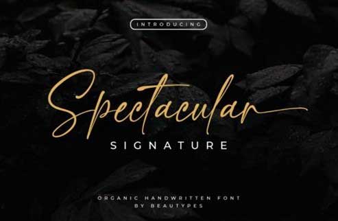 Spectacular Signature Font