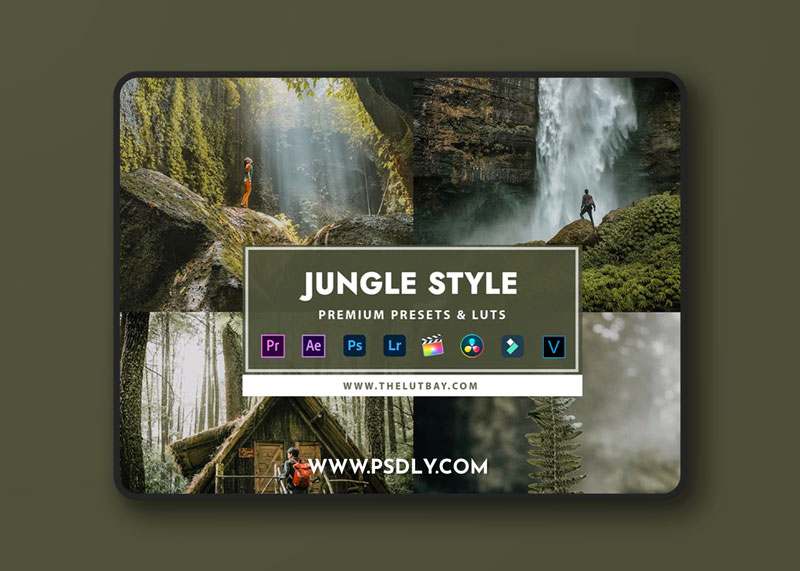 TheLutBay Jungle Style Preset