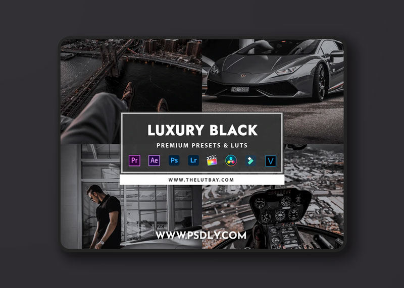 TheLutBay Luxury Black Preset