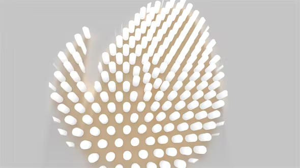 Videohive Minimal 3D Logo Reveal 36600652