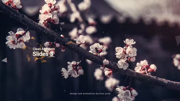 Videohive Clean Modern Slides 3 36643346