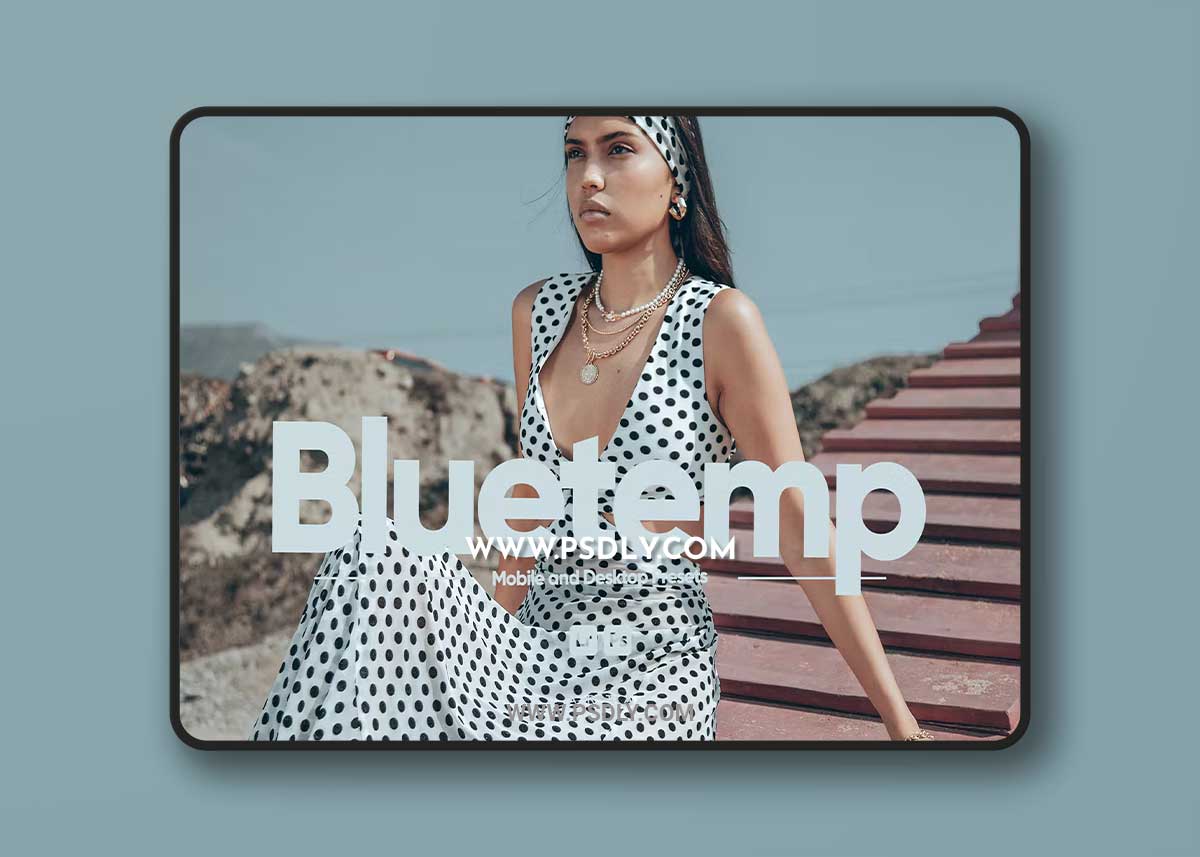 ARTA - Bluetemp Presets for Lightroom
