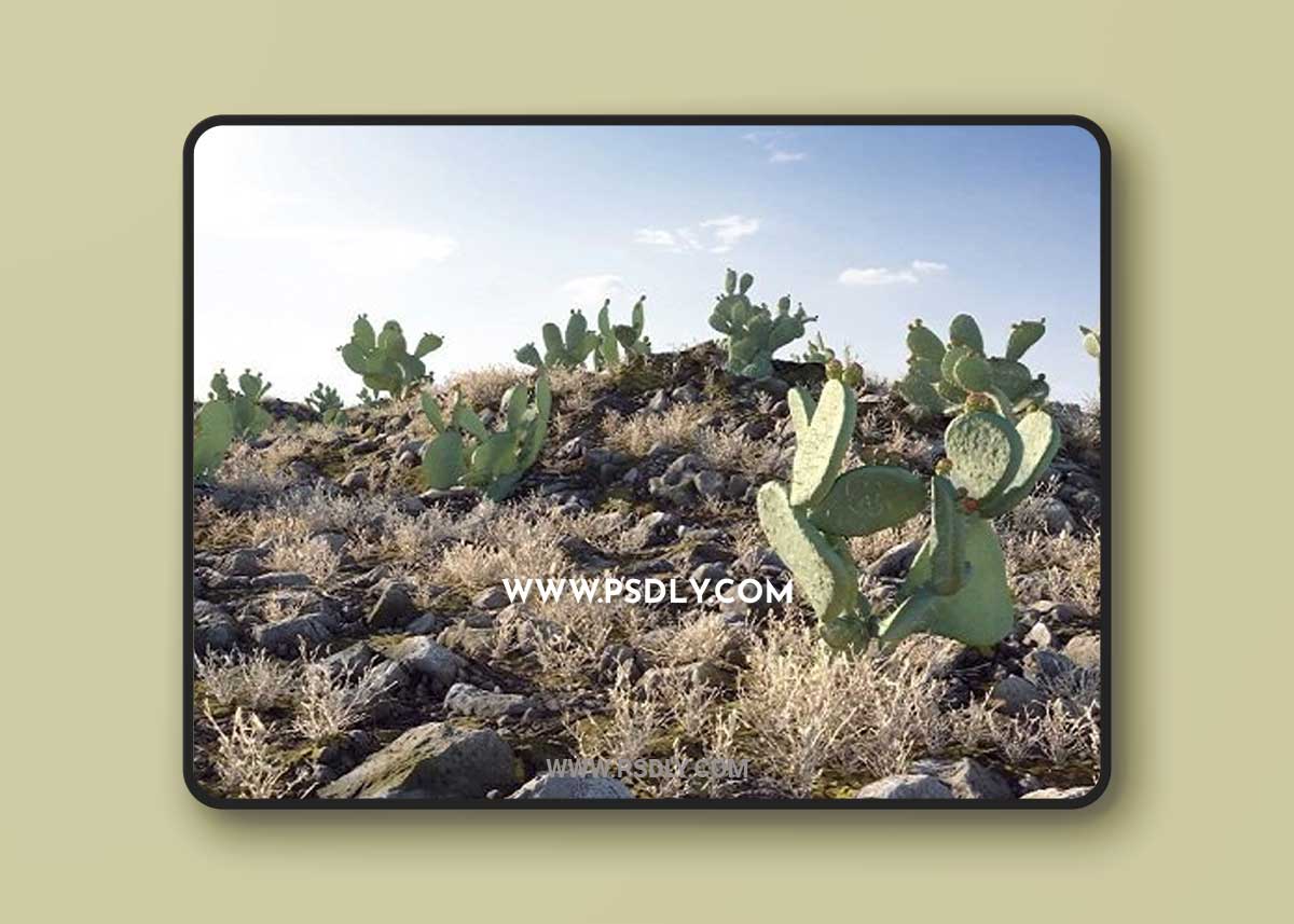 Apache Desert Pack 3D Model