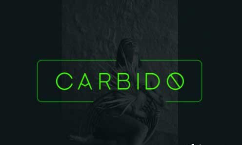 Carbido Typeface Overview