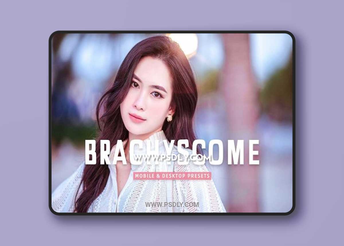 CreativeMarket - Brachyscome Pro Lightroom Presets 7170396