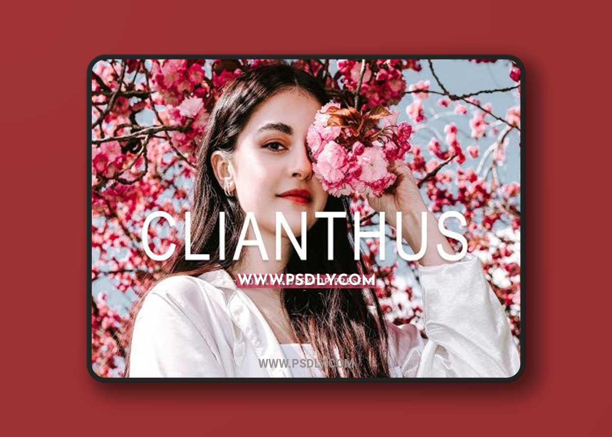CreativeMarket - Clianthus Pro Lightroom Presets 7170400