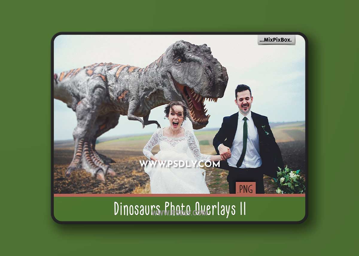 CreativeMarket - Dinosaur v.2 overlays 4044703
