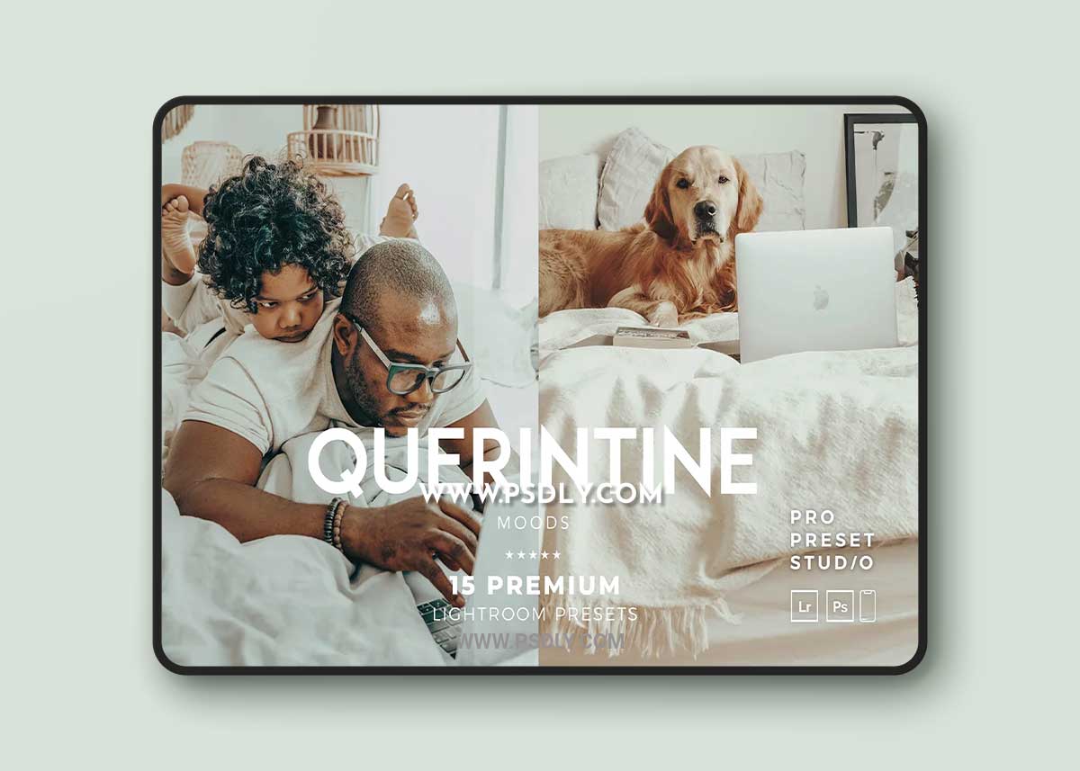 CreativeMarket - Quarantine Moods presets Lightroom 6701929