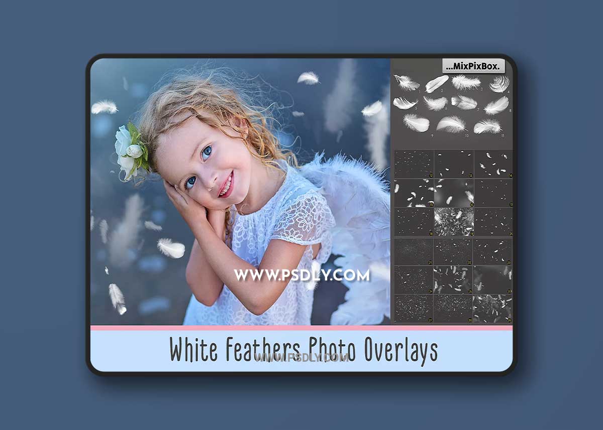 CreativeMarket - White Feathers Overlays 2982738