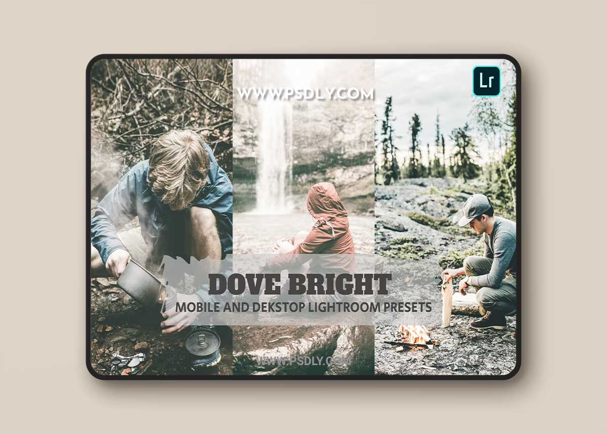 Dove Bright Lightroom Presets Dekstop and Mobile