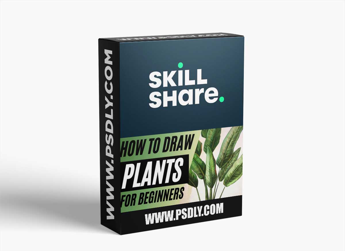 How to Draw Plants for Beginners (Procreate)