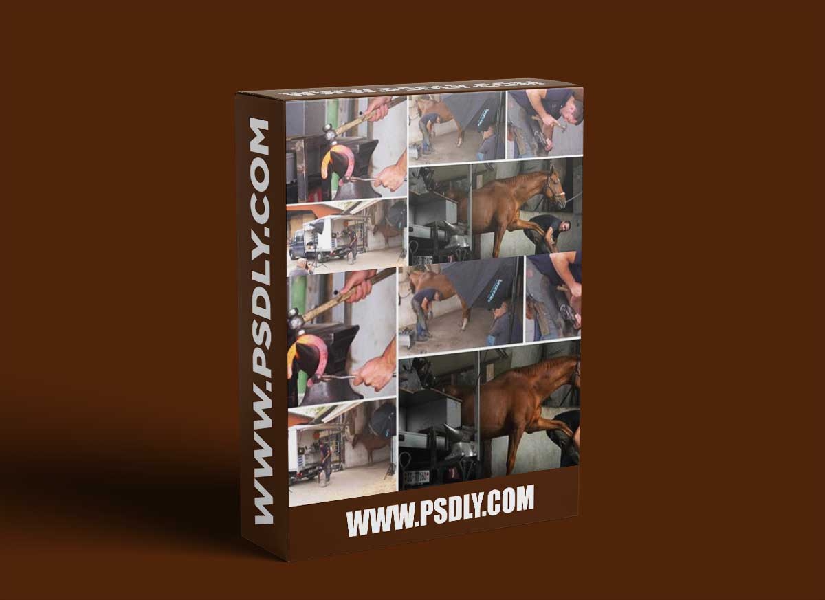 Karl Taylor - Environmental Portraits: Farrier