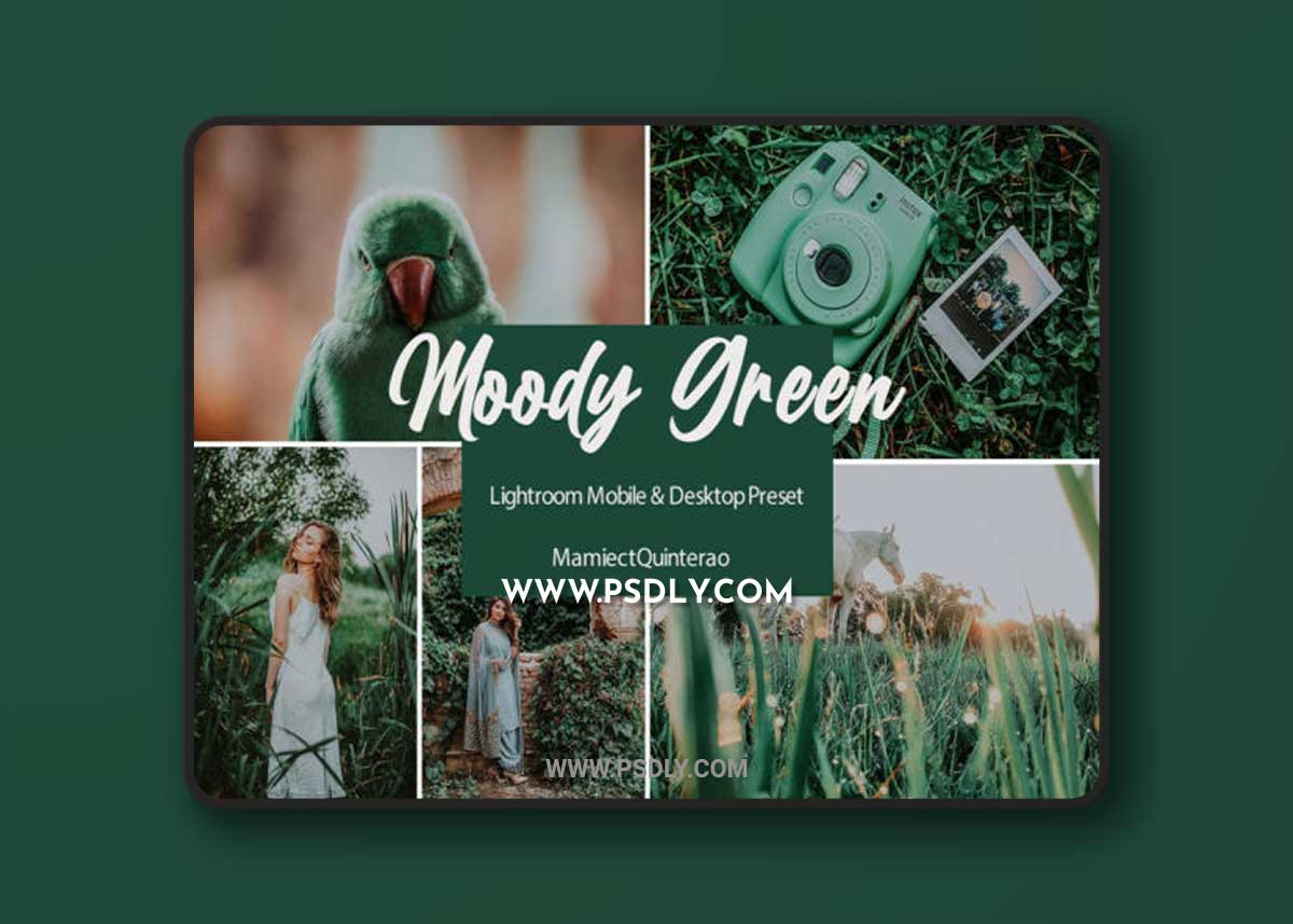Moody Green Lightroom Presets Graphic