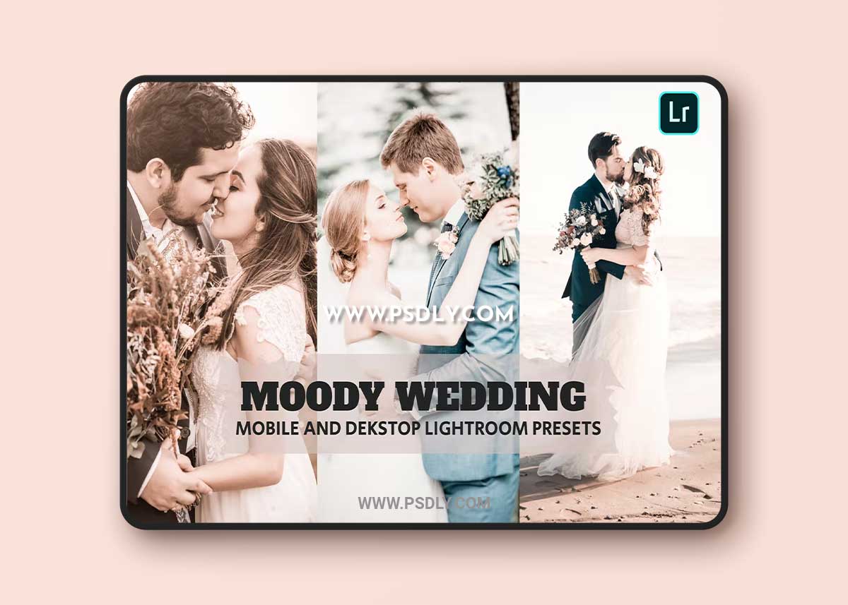 Moody Wedding Lightroom Presets Dekstop and Mobile