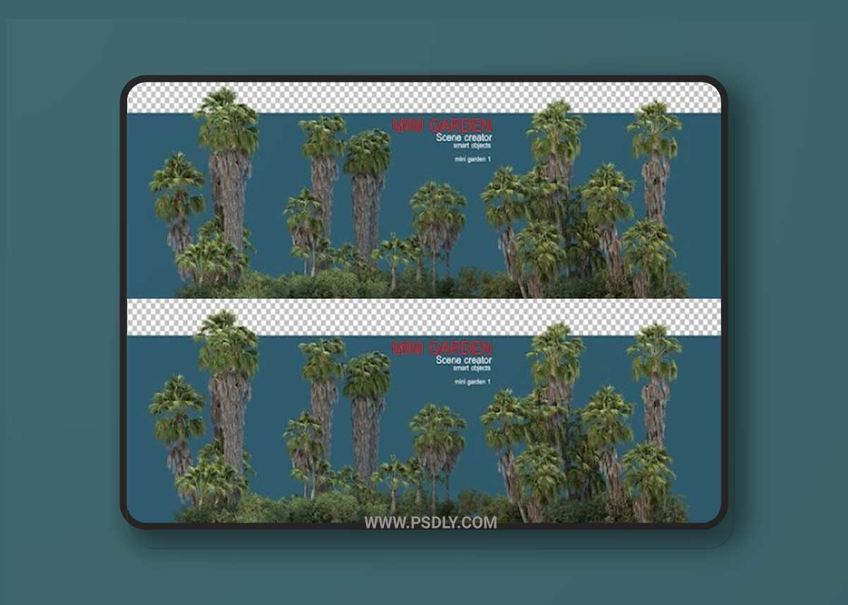 Palm tree in small garden Premium Psd