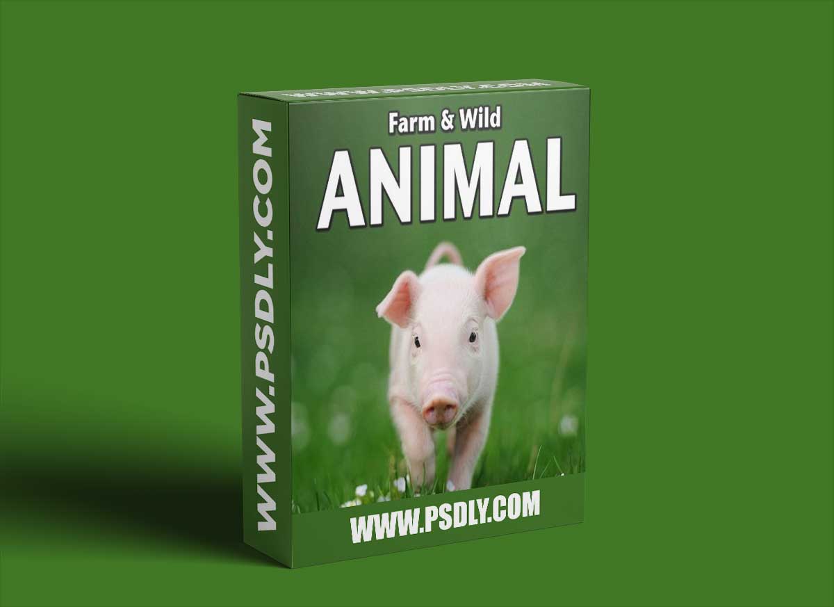 Sound Ideas Farm & Wild Animal Sound Effects FLAC