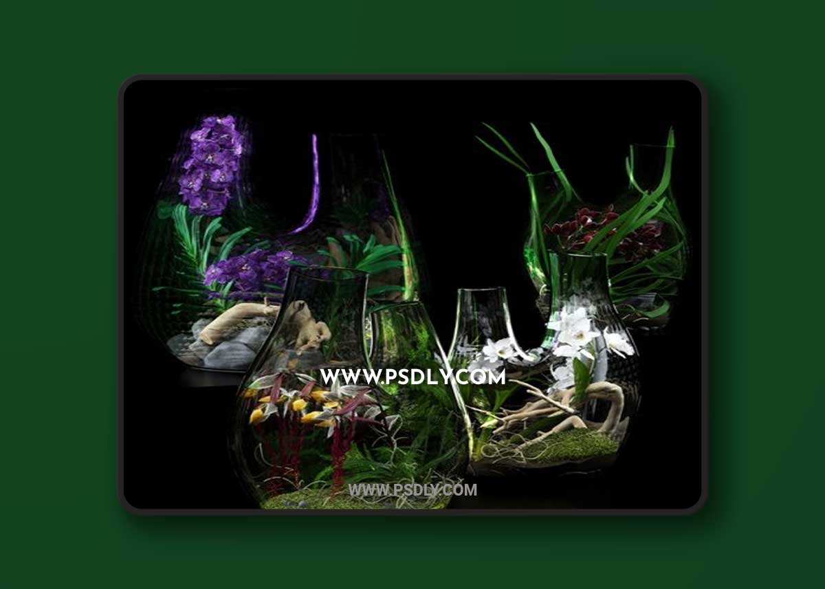 Terrarium vases with Orchids 3D Models