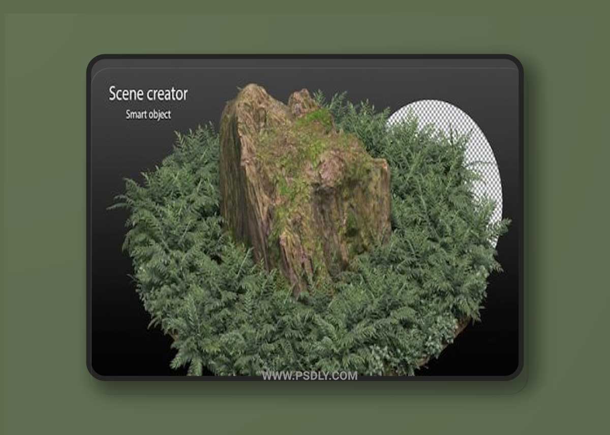 Variety of stump surrounded by small plants 03 Premium Psd