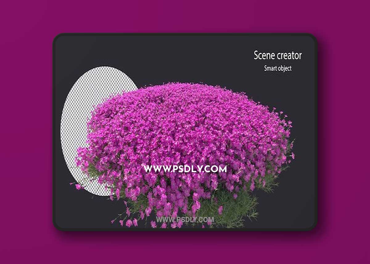 Various types of flower small plants bushes shrub and trees