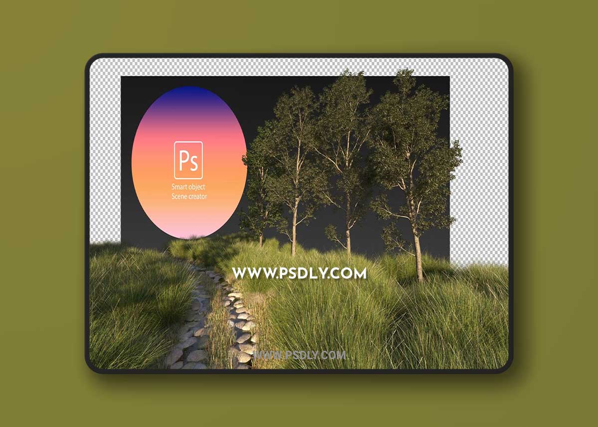 Walkway in field of long grass and trees PSD