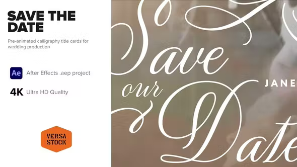 Videohive Save the Date Titles 37383652