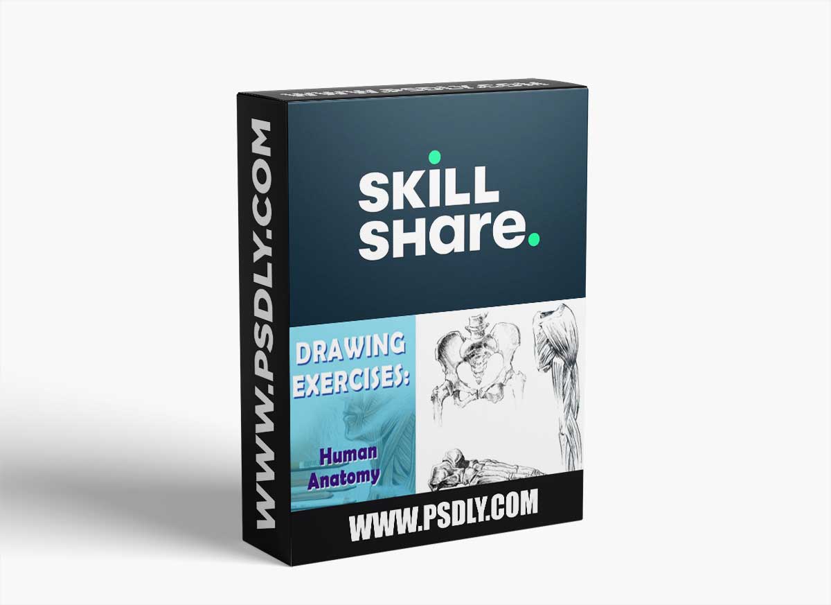 3 exercises that will help you to draw human anatomy