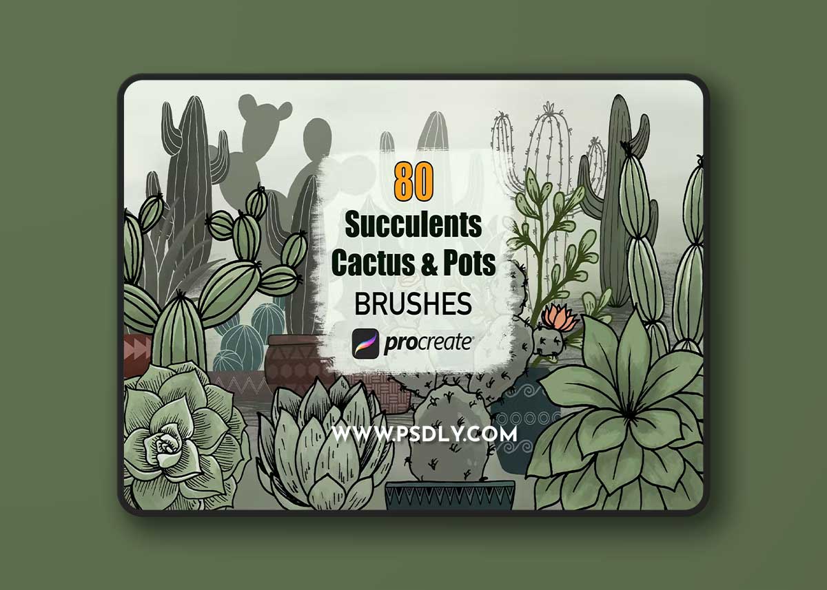 Cactus Succulents and Pots - Procreate Brushes