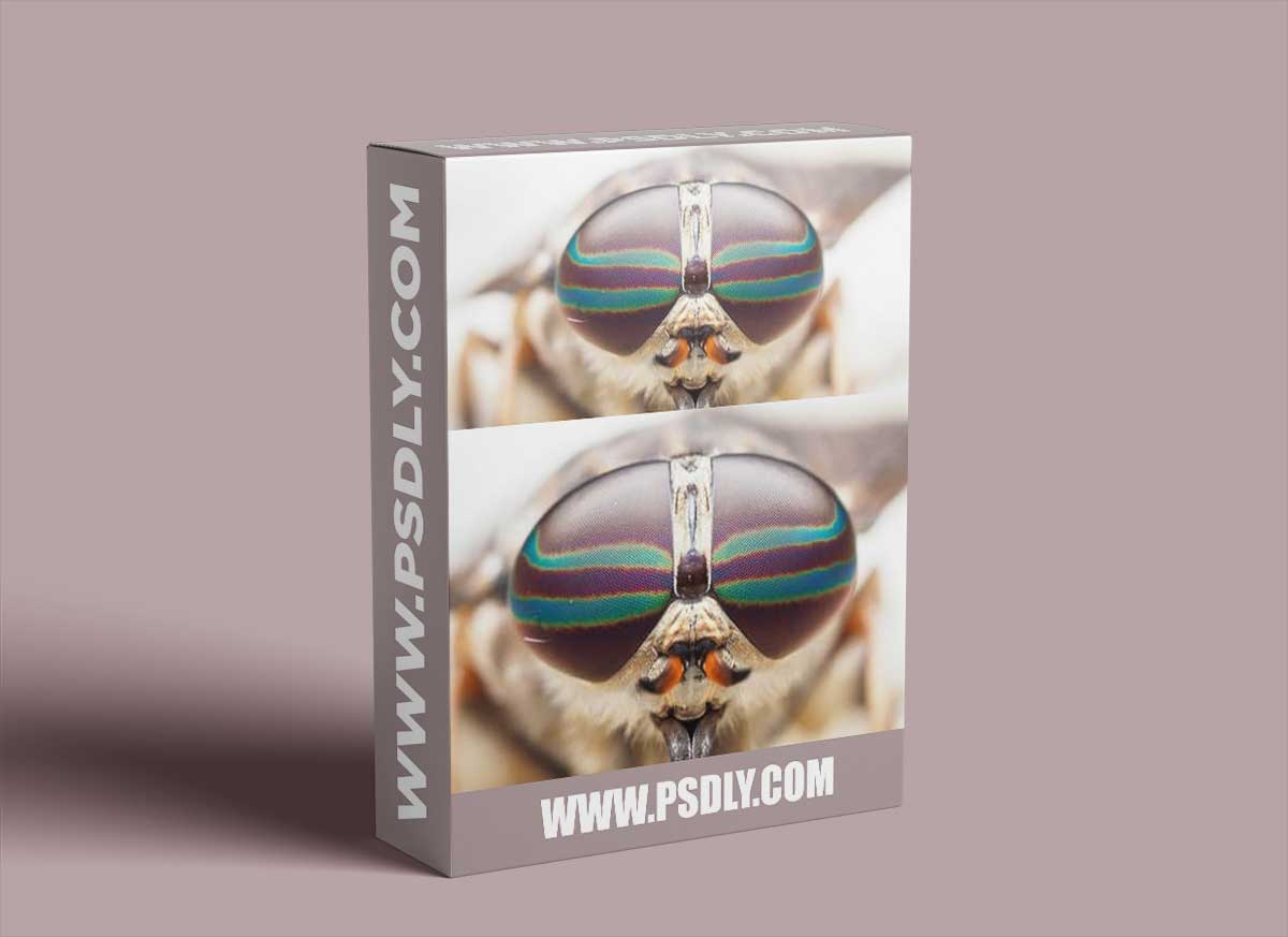 CreativeLive - Macro Photography: Insects and Plant Life