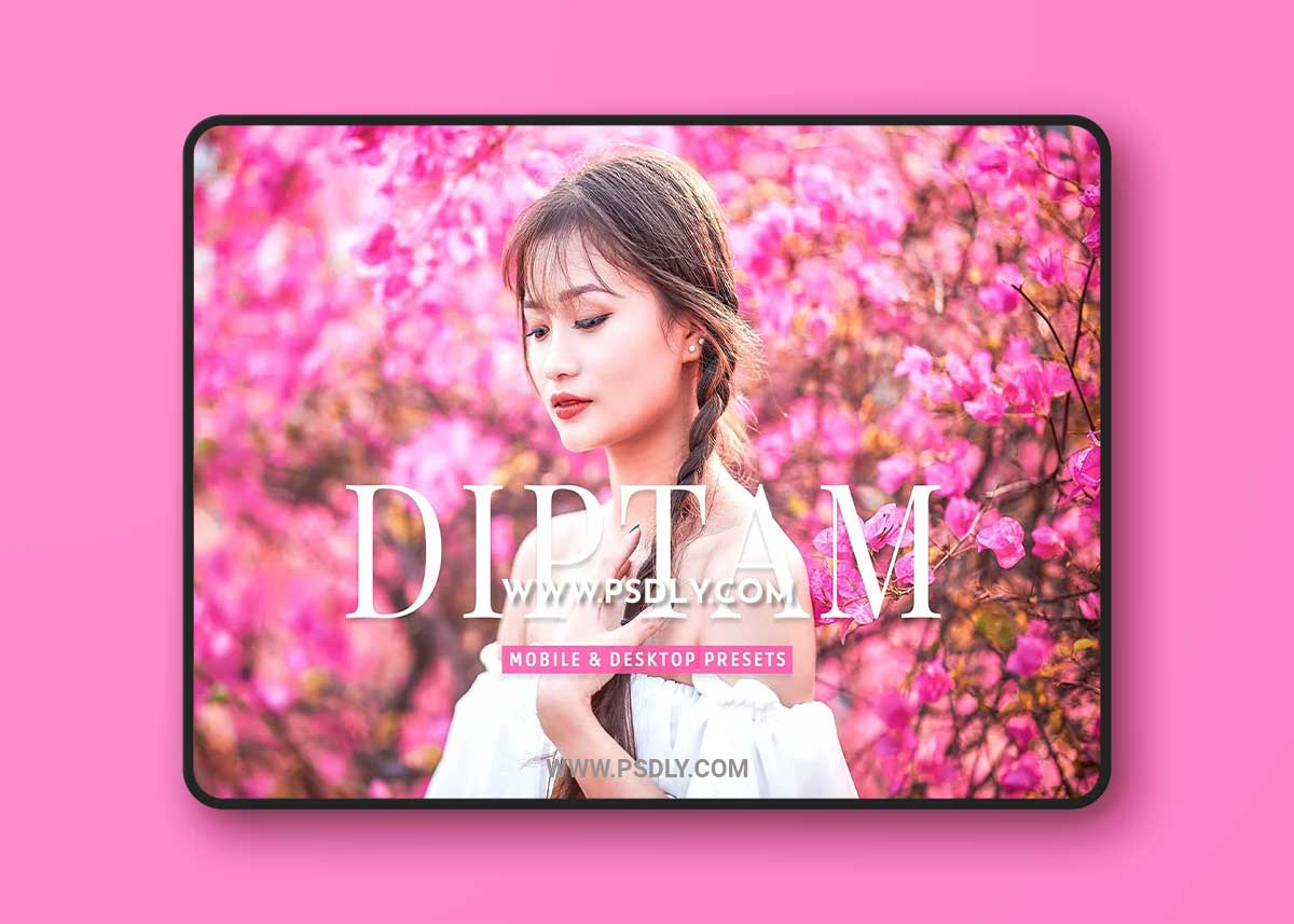 CreativeMarket - Diptam Pro Lightroom Presets 7178684