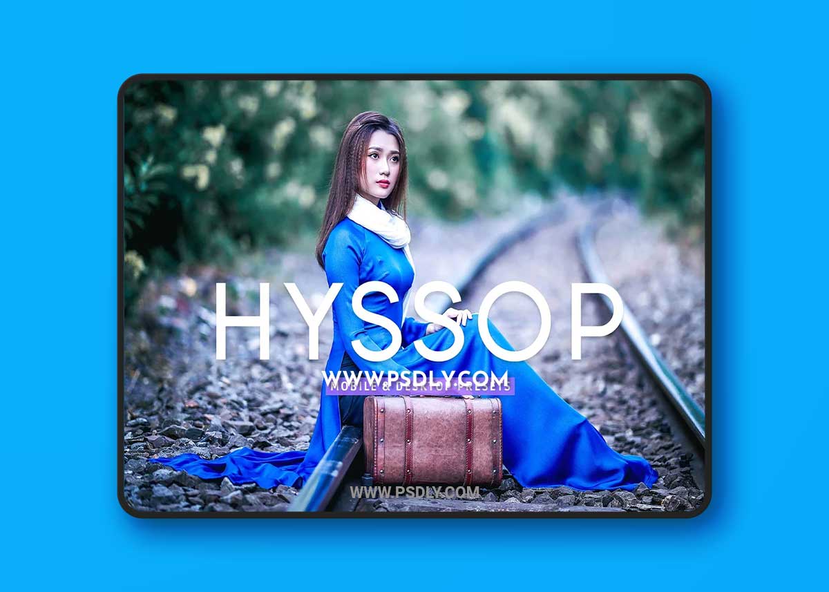 CreativeMarket - Hyssop Pro Lightroom Presets 7193785