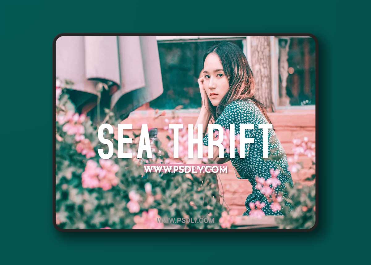 CreativeMarket - Sea Thrift Pro Lightroom Presets 7193792