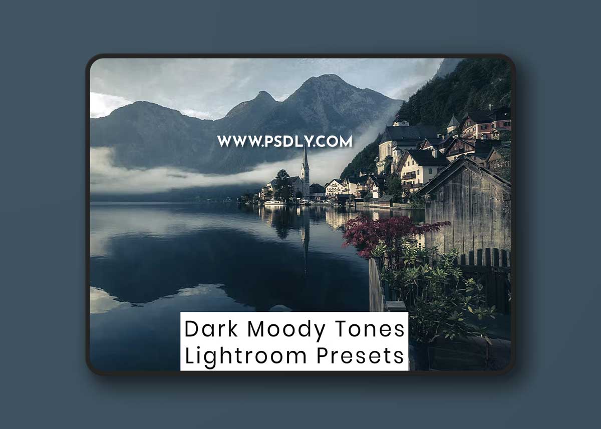 Dark Moody Tones Lightroom Presets