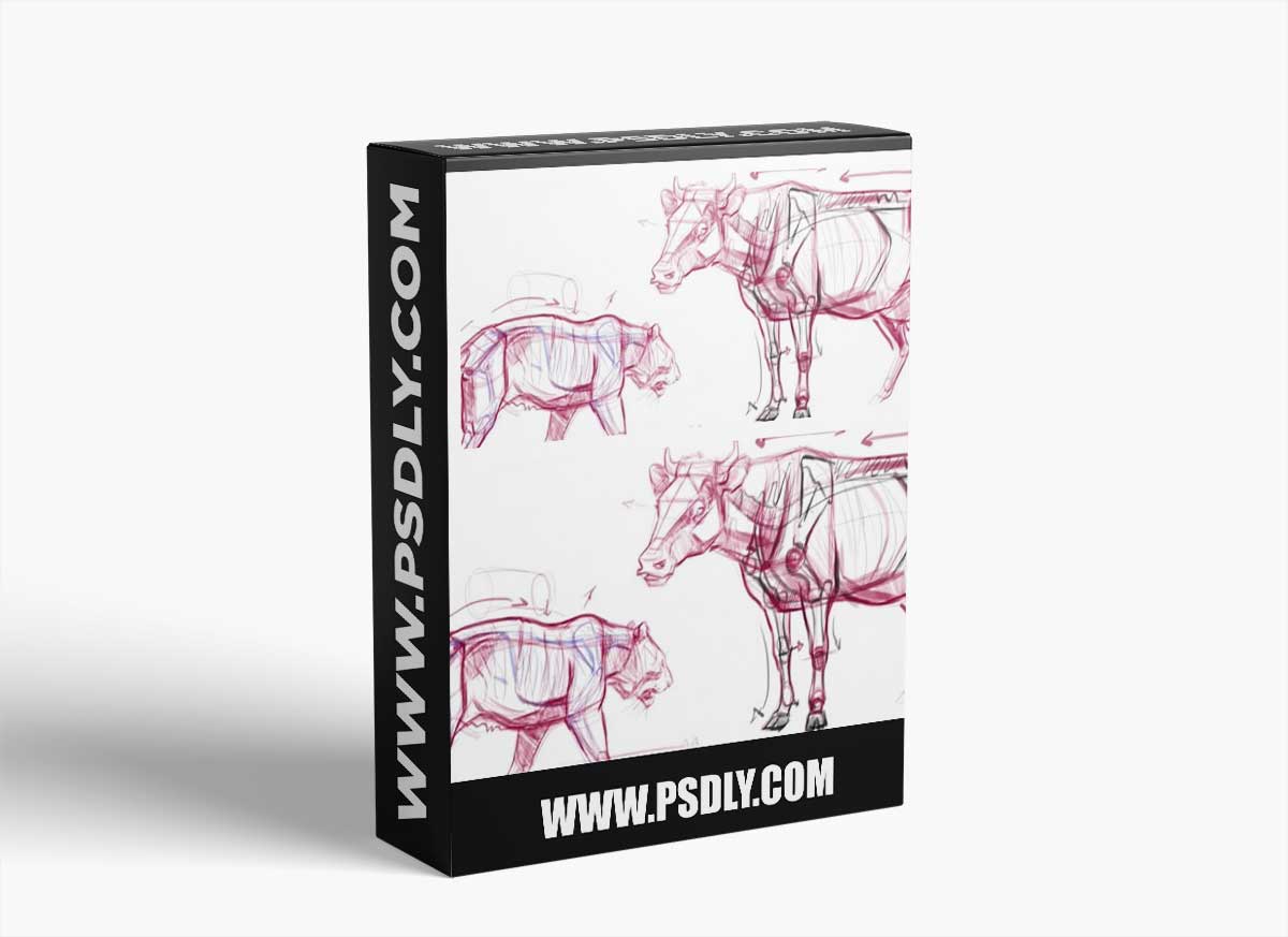 Introduction to Animal Anatomy Live Class - January 2022 with Joe Weatherly