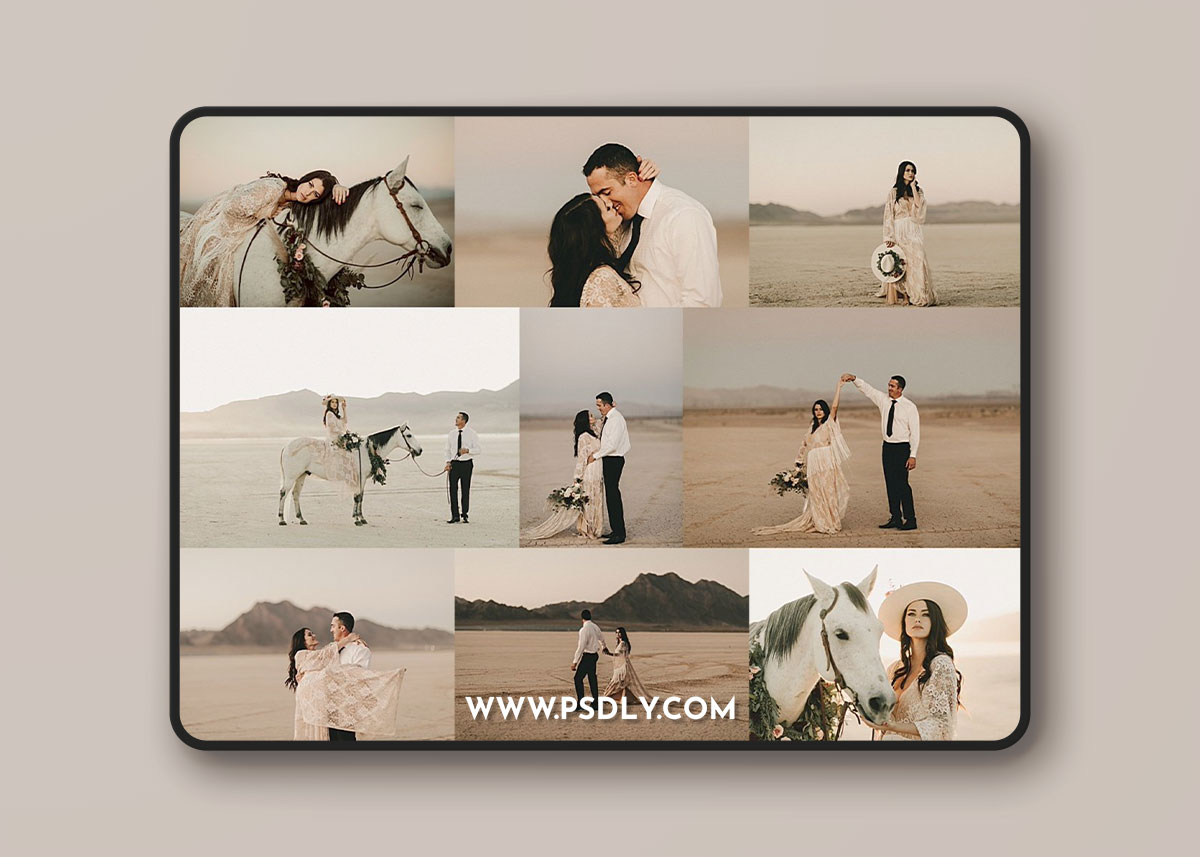 Lemon & Lace BIG STORE BUNDLE 2022 60 Preset Packs